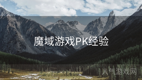 魔域游戏PK经验